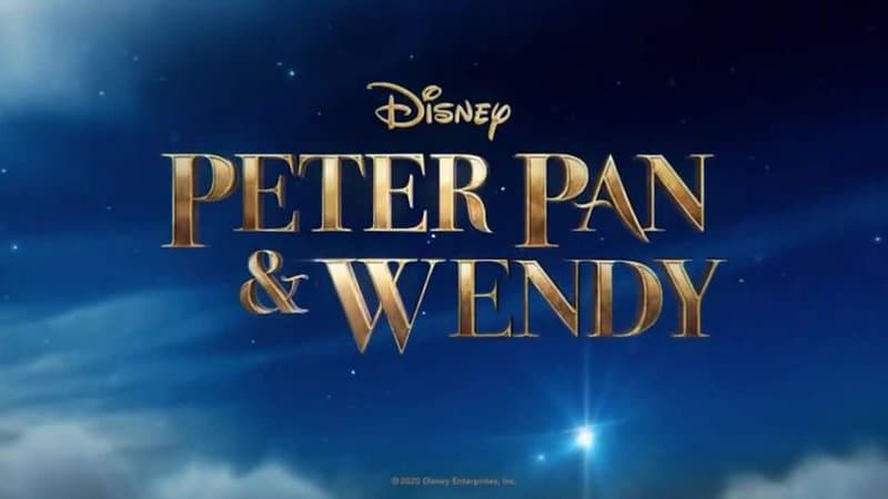 Laffiche-du-film-Peter-and-Wendy-988332