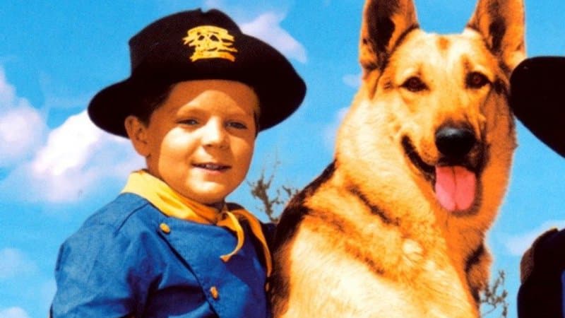 Mort à 77 ans de Lee Aaker, le jeune acteur de la série “Rintintin”