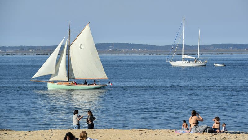 Le premier film français de requin tourné cet été à Arcachon