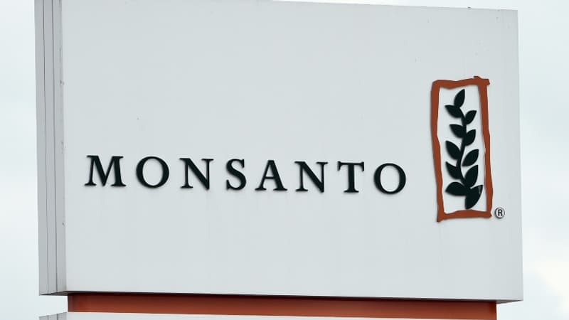 Logo-de-Monsanto-sur-un-site-a-Lillo-pres-d-Anvers-le-24-mars-2016-1075277