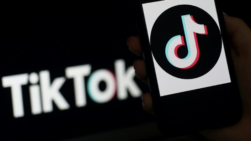 Données personnelles: la Commission irlandaise ouvre deux enquêtes sur TikTok