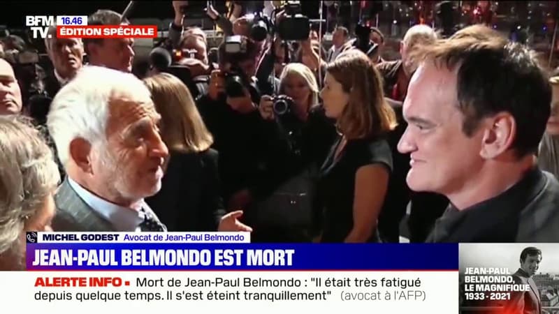 Michel Godest, avocat de Jean-Paul Belmondo: “Tarantino avait dit de lui ‘the coolest man’, l’homme le plus cool”