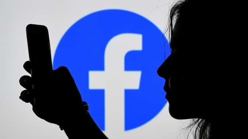 Facebook-veut-embaucher-10-000-personnes-en-Europe-pour-travailler-sur-le-metavers-une-sorte-de-doublure-numerique-du-monde-physique-accessible-via-internet-1148906-1