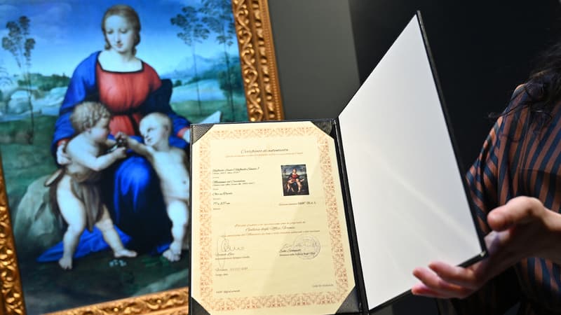 Une-reproduction-de-Madonna-del-Cardellino-par-Raphael-1236674