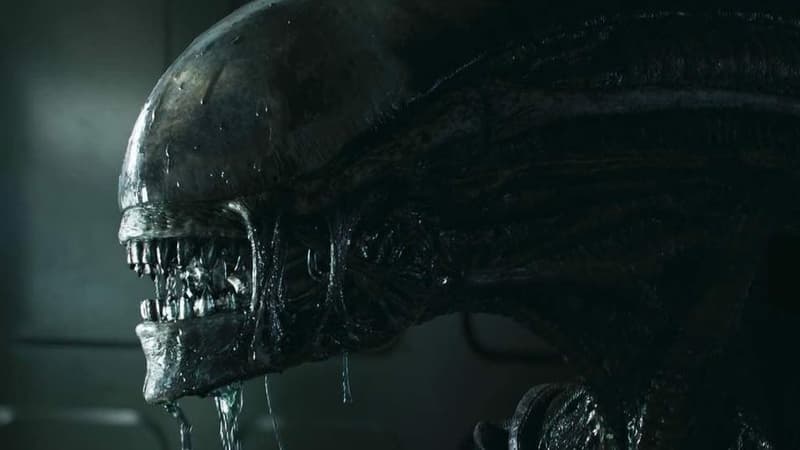 Un nouveau volet de la franchise “Alien” est en préparation