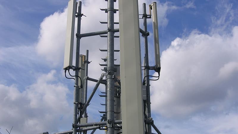 Vaches mortes: le tribunal de Clermont-Ferrand ordonne la suspension d’une antenne 4G