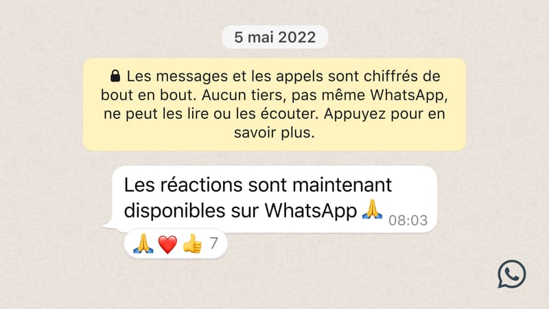 Pouce, coeur, rire: tout le monde peut désormais utiliser les émojis-réactions dans WhatsApp