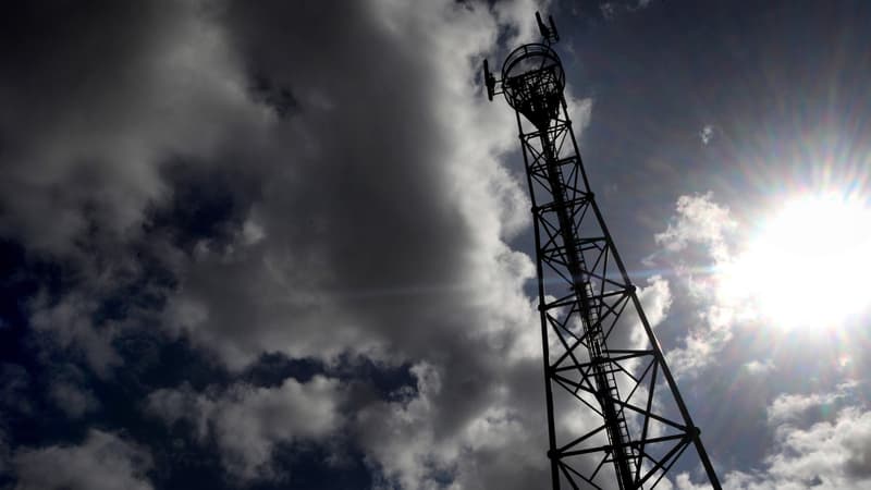 Vaches mortes: les opérateurs contestent la suspension de l’antenne 4G auprès du Conseil d’Etat