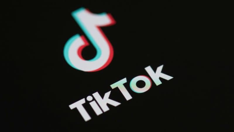 Face à la défiance, TikTok adopte Oracle pour stocker les données américaines