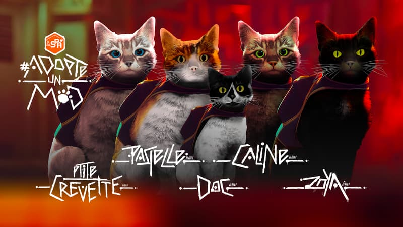 La SPA investit Stray, le jeu vidéo à la gloire des chats, pour en faire adopter