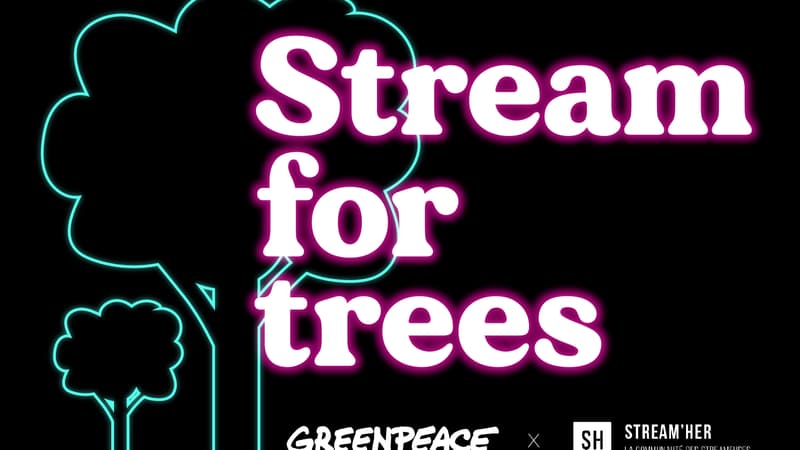 Stream for trees: l’évènement qui met en avant les streameuses