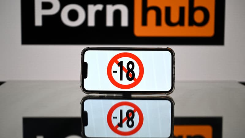 Blocage des sites pornographiques: Pornhub gagne une manche face à l’Arcom