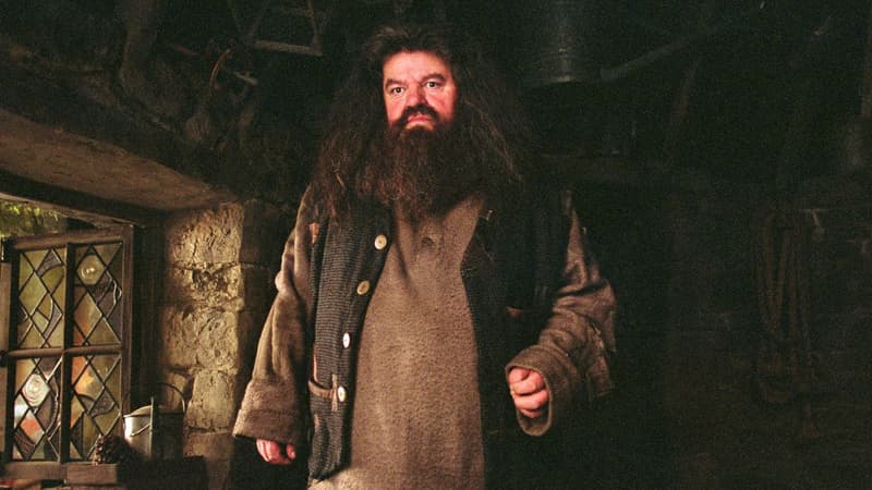 “Il nous faisait toujours rire sur le plateau”: les stars de “Harry Potter” pleurent Robbie Coltrane