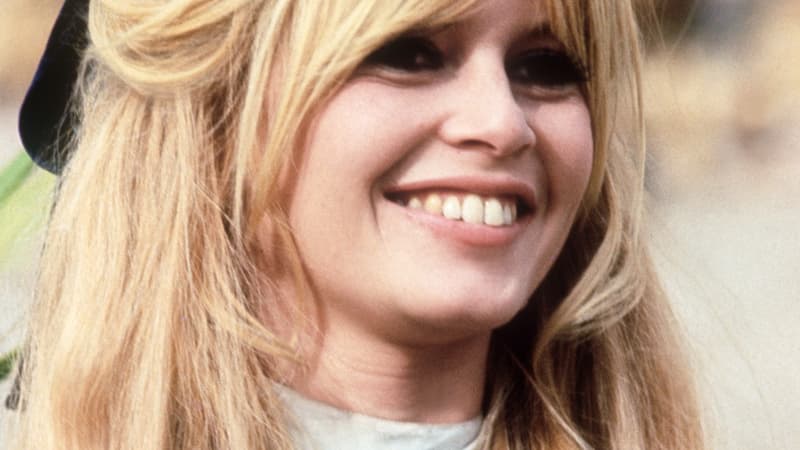 LIGNE ROUGE – Brigitte Bardot, confidentiel