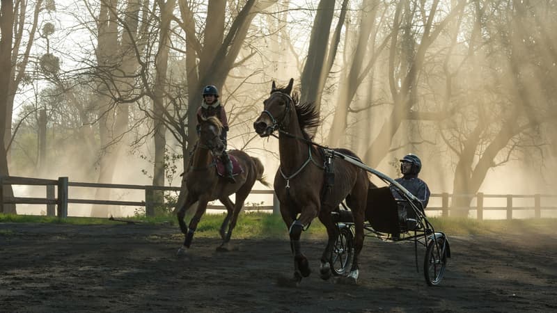 De “Jappeloup” à “Tempête”, pourquoi le cinéma français adore les films de chevaux