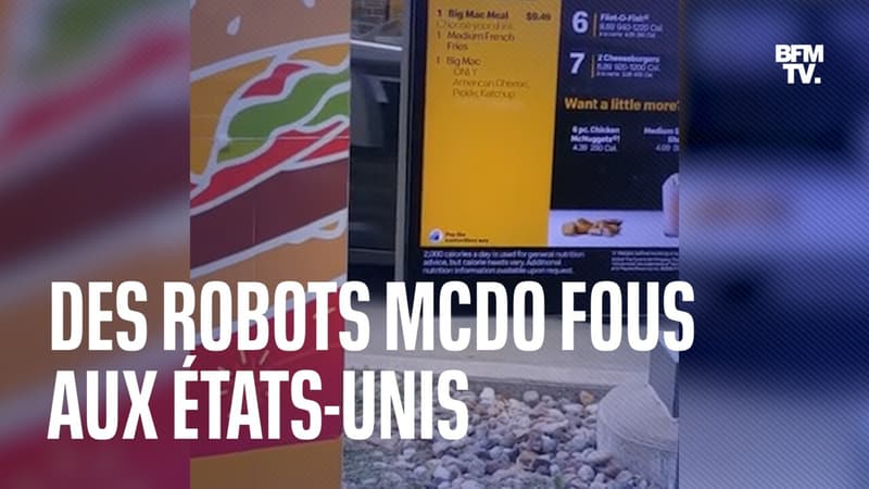 Aux États-Unis, les robots McDo rendent fous les clients