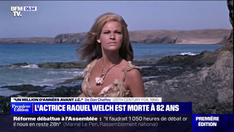 L-actrice-Raquel-Welch-icone-hollywoodienne-est-morte-a-82-ans-1579251