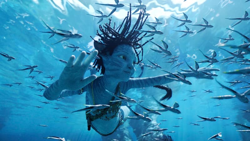 “Avatar 2: La Voie de l’eau” est le plus gros succès du box-office français depuis 12 ans