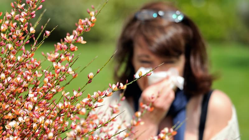 Lify Air dévoile une application pour connaître la quantité de pollen dans l’air