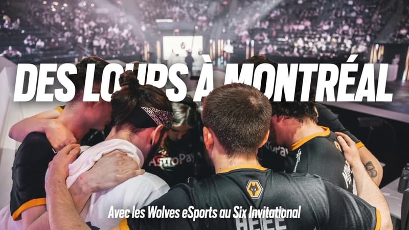 “Des loups à Montréal”: on a suivi les Wolves Esports lors de la plus grande compétition de Rainbox Six Siege