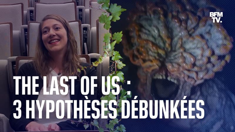 “The Last of Us”: une experte en champignons de l’Institut Pasteur débunke le cordyceps de la série