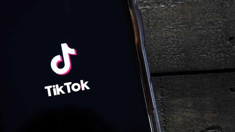 Le gouvernement veut réfléchir à une interdiction de TikTok pour les enfants