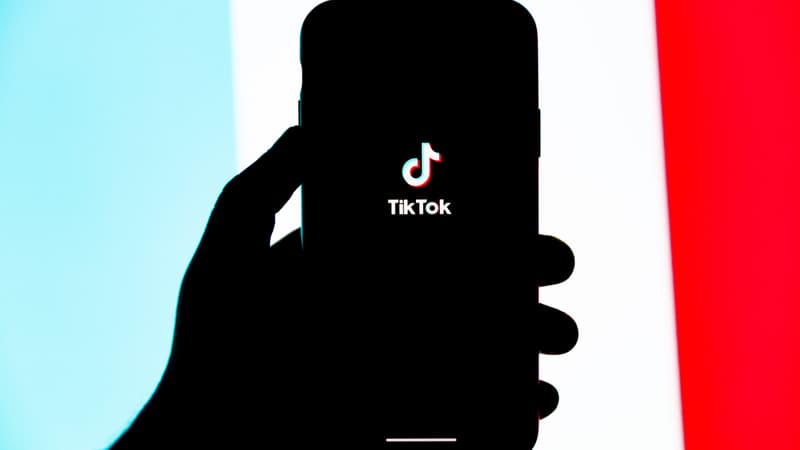TikTok: le gouvernement ne veut pas “supprimer la liberté de télécharger” l’application