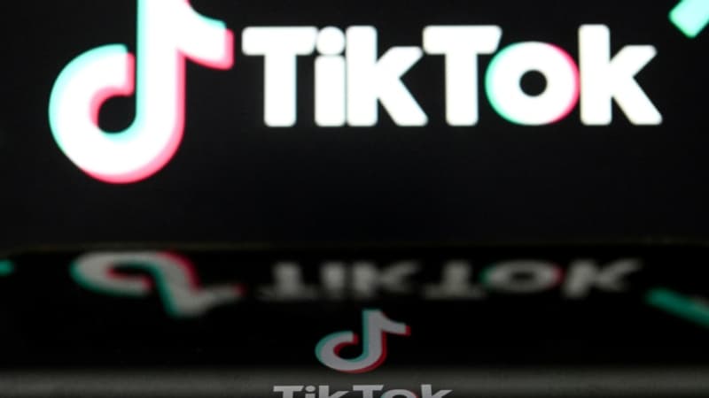 La-France-interdit-l-utilisation-de-TikTok-sur-les-telephones-professionnels-des-fonctionnaires-1603973