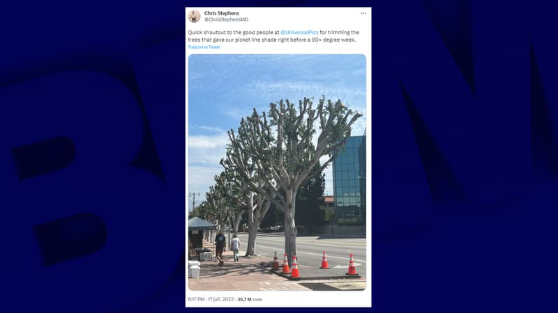 Grève à Hollywood: une amende pour Universal, accusé d’avoir élagué des arbres pour gêner les manifestants