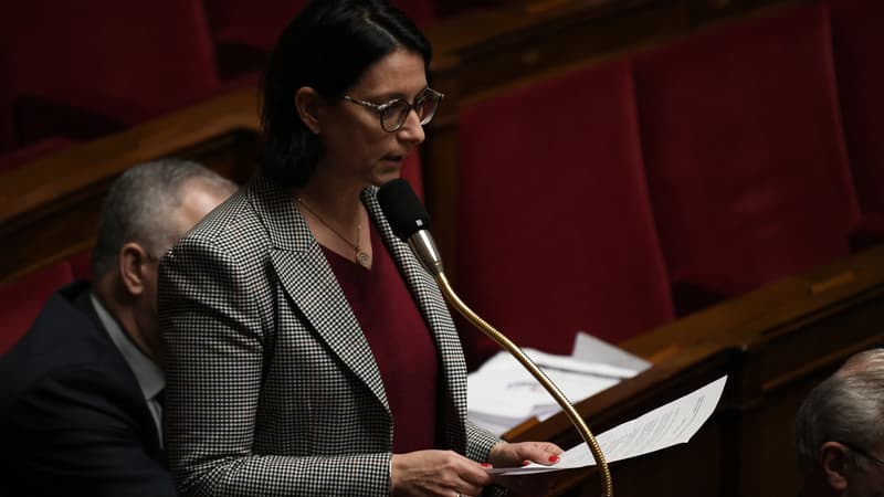 La-deputee-LaREM-Isabelle-Rauch-a-l-Assemblee-nationale-en-2019-1225489