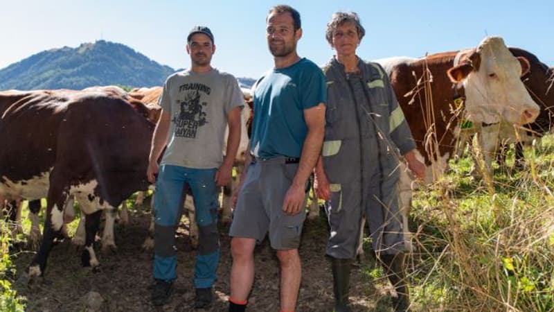 Le documentaire “La Ferme des Bertrand”, veut “casser l’image qu’on pouvait avoir des agriculteurs”