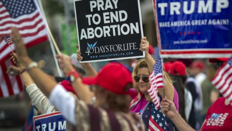 Une-femme-brandit-une-pancarte-contre-lIVG-lors-dun-rassemblement-de-partisans-de-Donald-Trump-a-Los-Angeles-le-2-juin-2019-496560