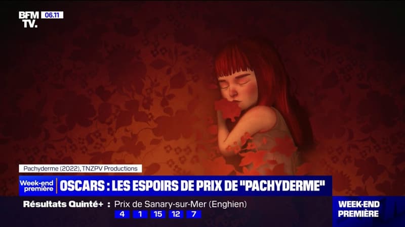 Oscars: les espoirs de prix du court-métrage d’animation français “Pachyderme”