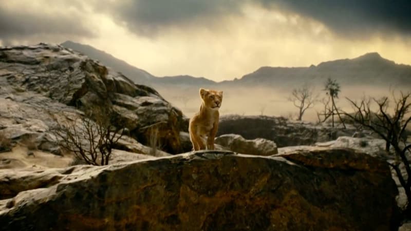 Première image de Mufasa dans le prequel du “Roi Lion” en live-action