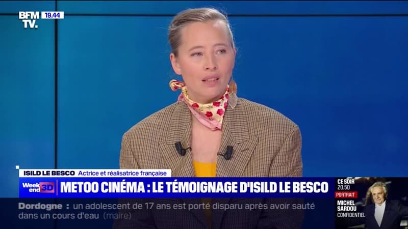 MeTooCinema-Emmanuel-Macron-meprise-les-femmes-au-plus-profond-affirme-Isild-Le-Besco-1861254