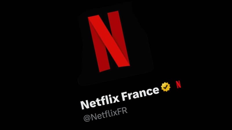 Capture-d-ecran-du-compte-Twitter-de-Netflix-France-1642578