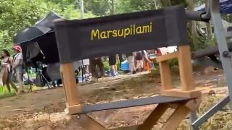 “Le Marsupilami”: Philippe Lacheau dévoile des images du tournage et le casting