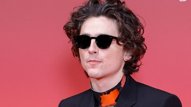 Timothée Chalamet va s’essayer au ping-pong dans le prochain film de Josh Safdie