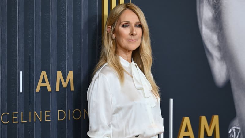 “Alain Delon faisait partie de nos vies”: Céline Dion écrit sa “tristesse” après la mort de l’acteur