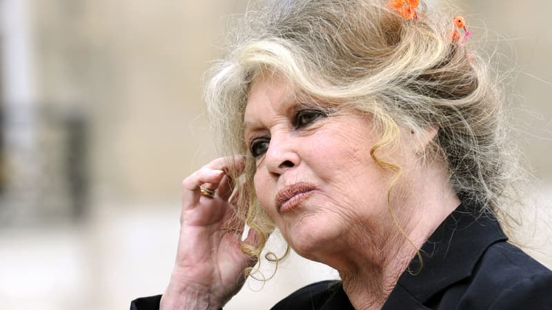 Brigitte-Bardot-1677446