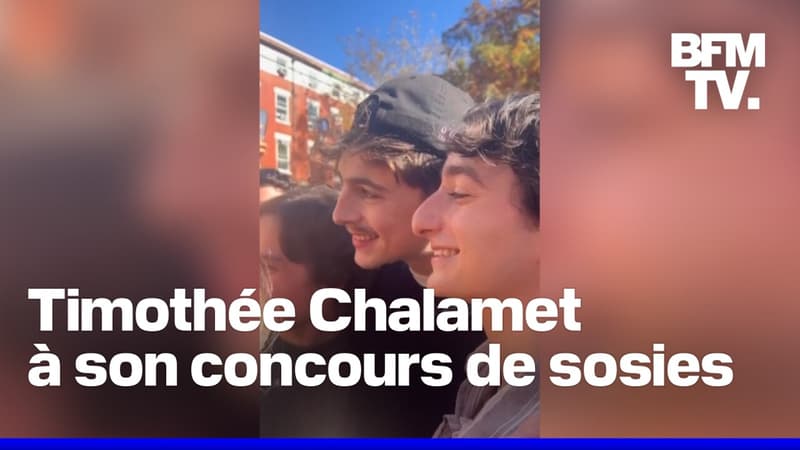 Timothée Chalamet fait son apparition à un concours de sosies de… Timothée Chalamet