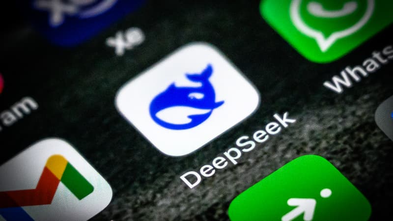 Deepseek-2024382