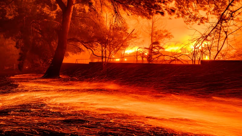 Des-braises-se-repandent-sur-le-sol-alors-que-des-maisons-brulent-lors-de-l-incendie-d-Eaton-a-Pasadena-en-Californie-le-7-janvier-2025-2009333