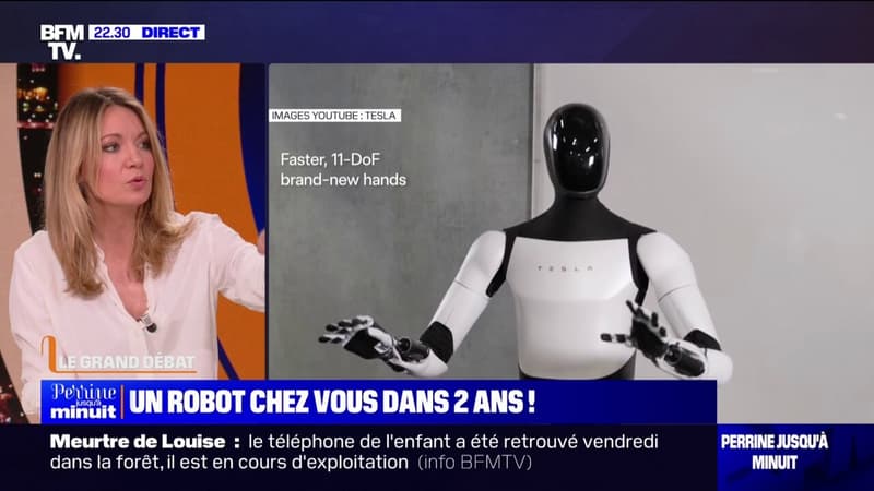 Intelligence-artificielle-le-robot-d-Elon-Musk-concu-pour-faire-les-taches-menageres-a-votre-place-2031006