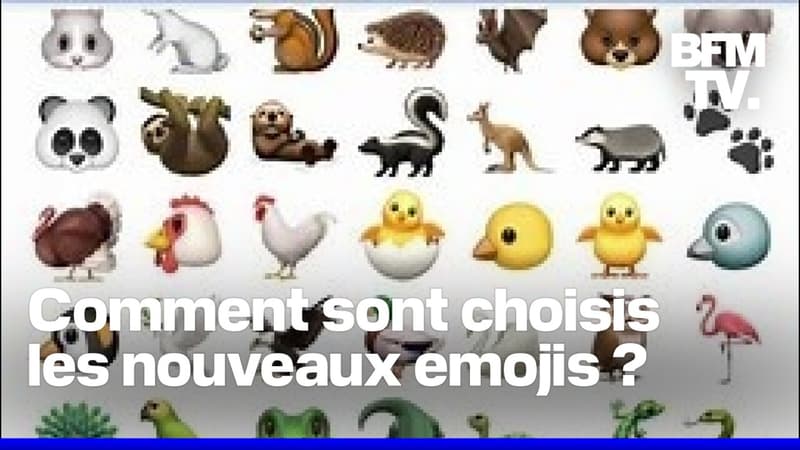 Comment-sont-choisis-les-nouveaux-emojis-2044790