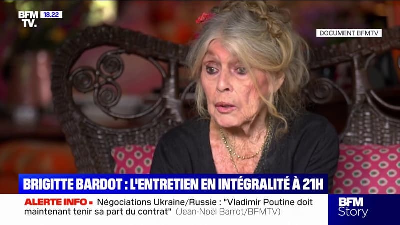 Brigitte-Bardot-sur-le-mouvement-Me-Too-Ceux-qui-ont-du-talent-s-ils-mettent-la-main-aux-fesses-d-une-fille-ils-sont-rejetes-dans-le-cul-de-basse-fosse-2080171