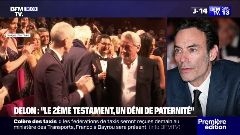 Livre-sur-les-derniers-jours-d-Alain-Delon-Le-deuxieme-testament-ca-a-ete-comme-un-deni-de-paternite-reagit-Anthony-Delon-2085896