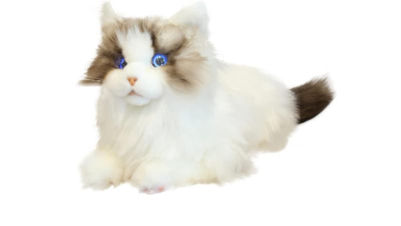MetaCats-2088807