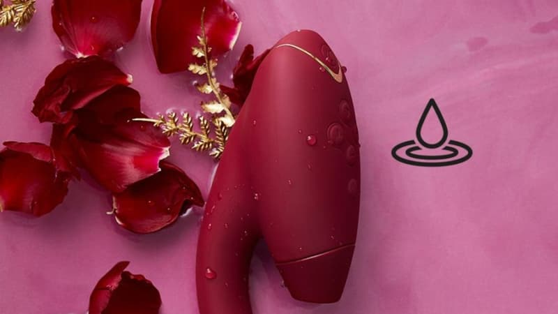 Womanizer-ce-sextoy-best-seller-pour-couple-peut-aussi-bien-etre-utilise-seul-ou-a-deux-2096729
