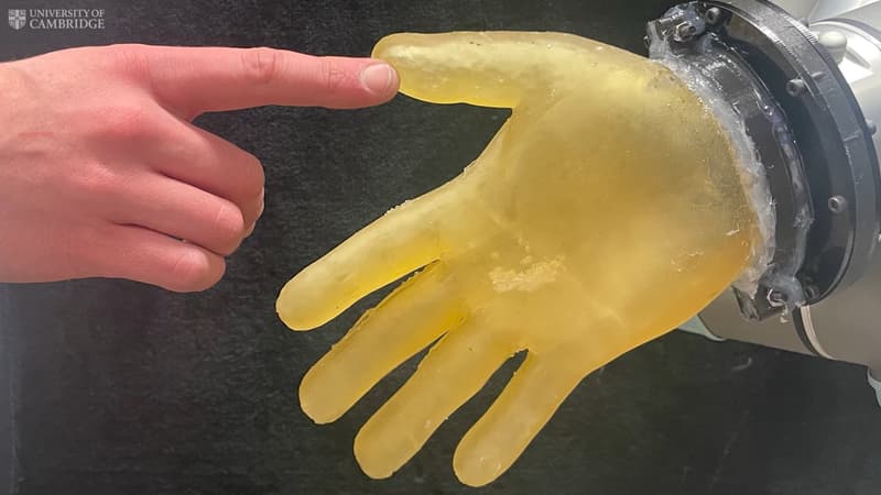 Peau-robot-gel-Universite-de-Cambridge-2112423